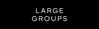 Large Groups